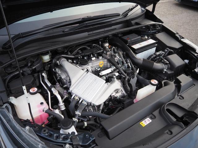 23182143_carP_l_20.jpg