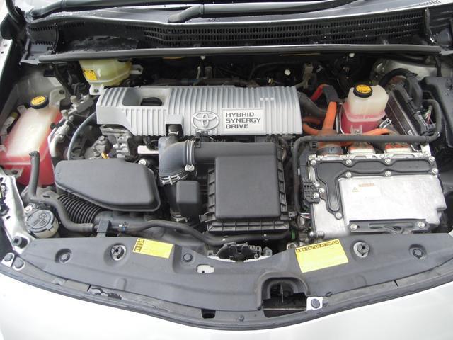 23008758_carP_l_12.jpg