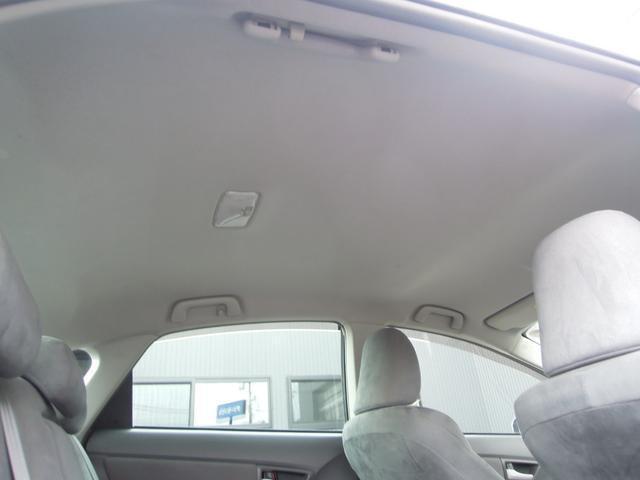 23008758_carP_l_6.jpg