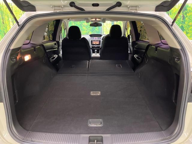 20590064_carP_l_2.jpg