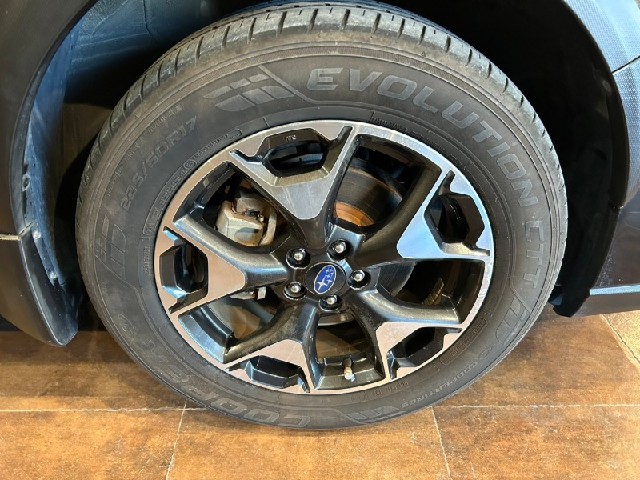 c3f03b139ee6c3a52877c3936404ad4c.jpeg