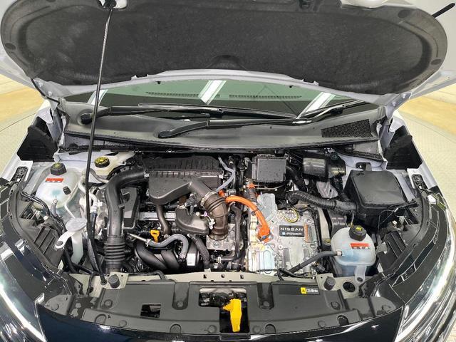 21253903_carP_l_12.jpg