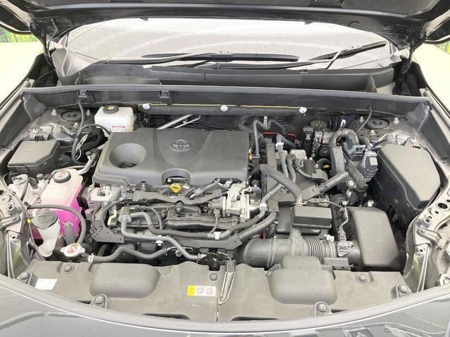 19738954_carP_l_16.jpg