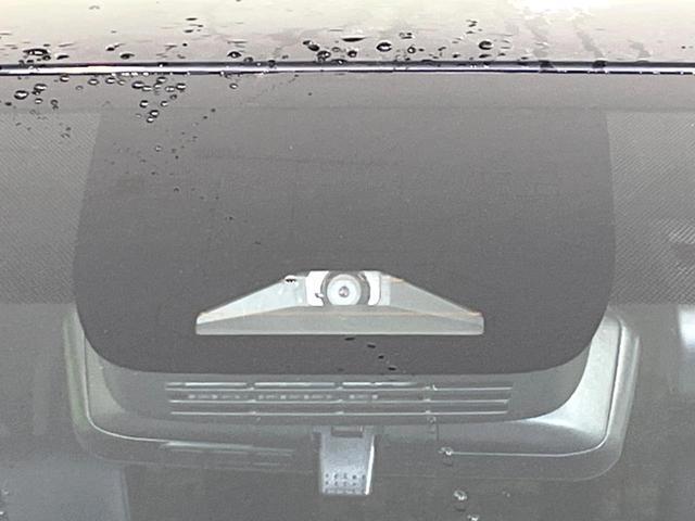21343003_carP_l_15.jpg