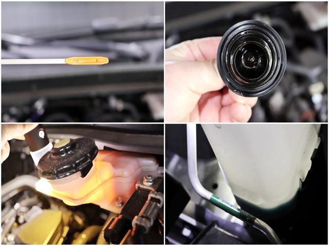 40da486fd30b35a49f2d278aeb2a7f1a.jpeg
