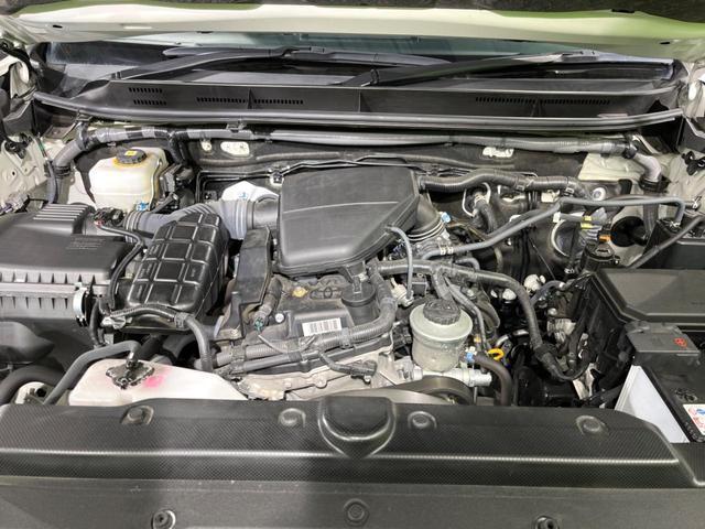 22680860_carP_l_18.jpg