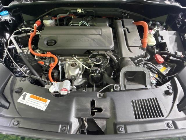 22373311_carP_l_16.jpg