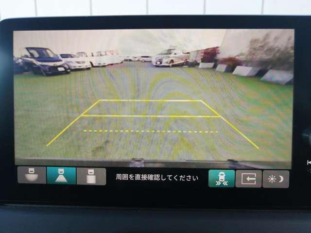 23023557_carP_l_11.jpg