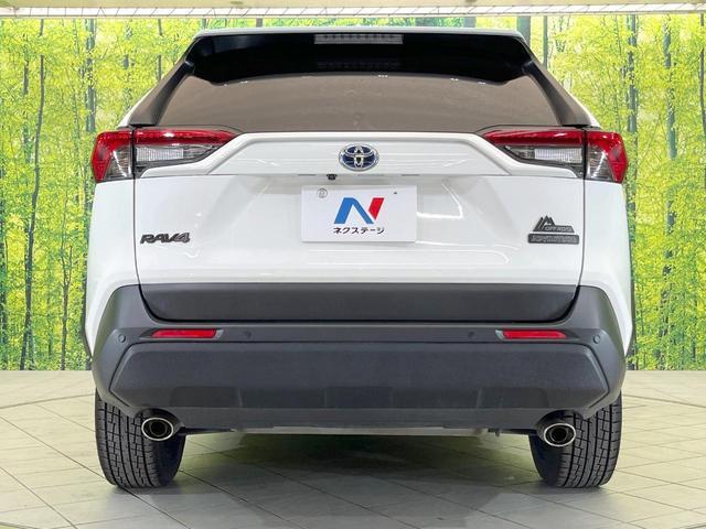 21361335_carP_l_9.jpg