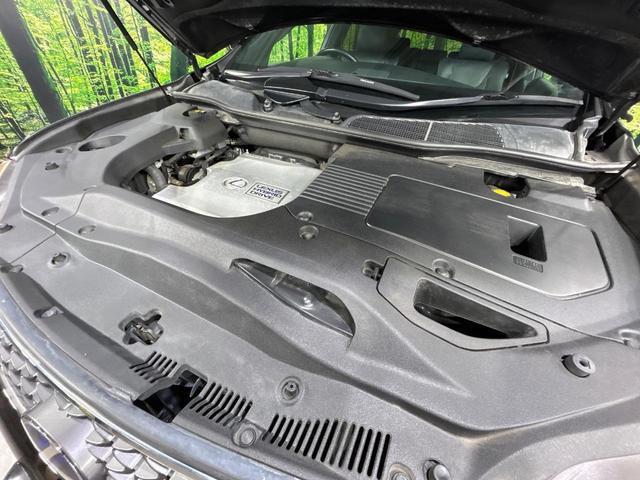 21307722_carP_l_18.jpg