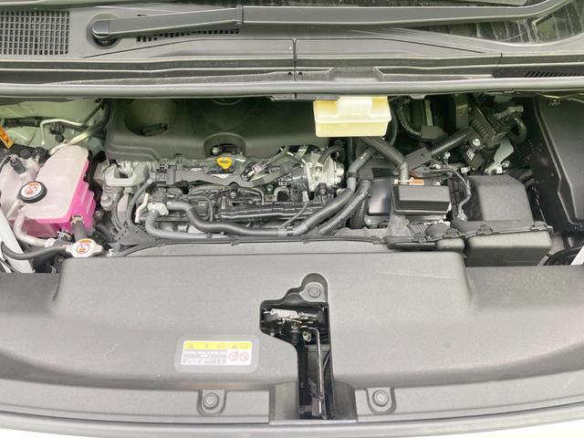 22505855_carP_l_20.jpg
