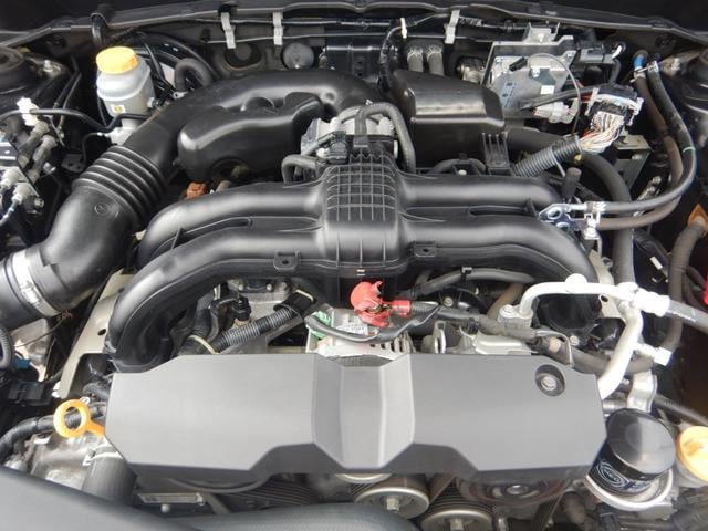 0206171A20250822W00217.jpg