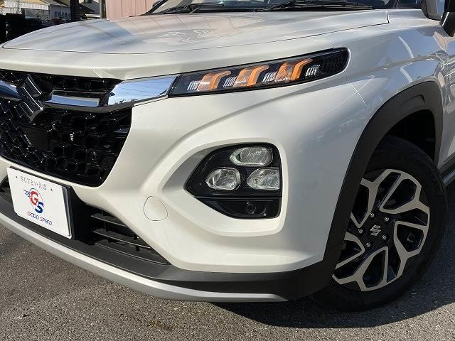 20585197_carP_l_16.jpg