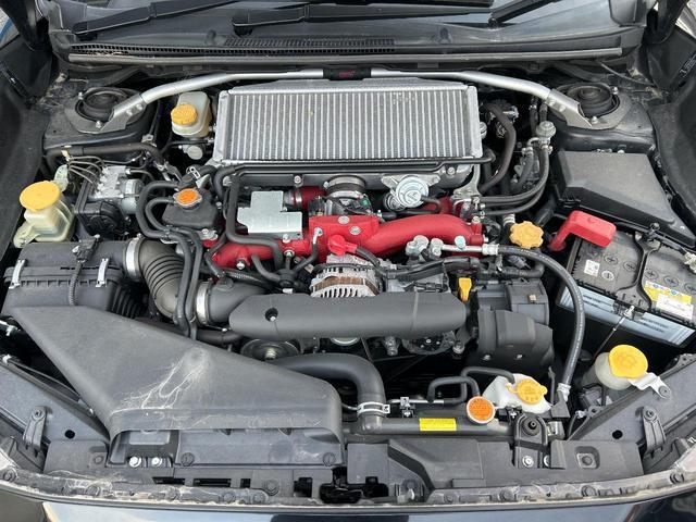 21619269_carP_l_20.jpg