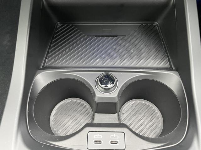 20035668_carP_l_8.jpg