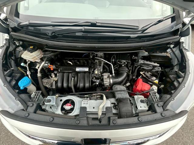22252031_carP_l_17.jpg