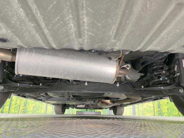 21009479_carP_l_20.jpg