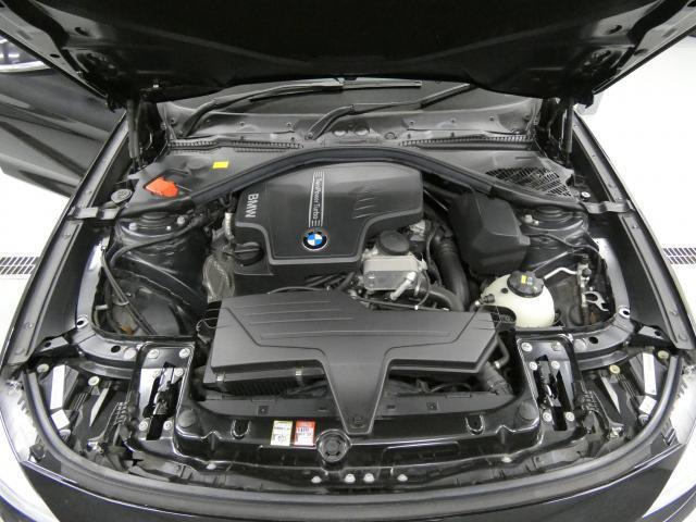 20520075_carP_l_20.jpg