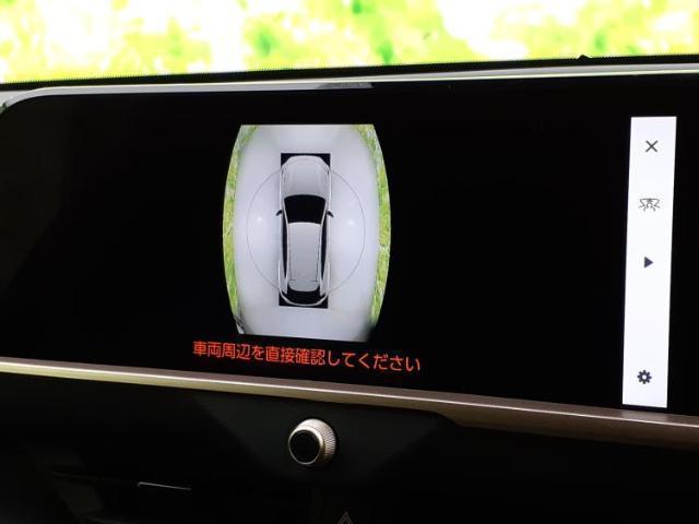 21100892_carP_l_8.jpg