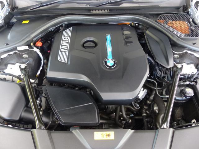 21095693_carP_l_20.jpg