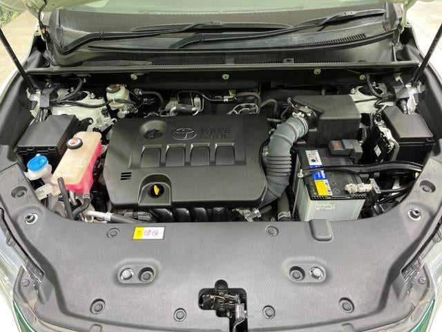 18550583_carP_l_16.jpg