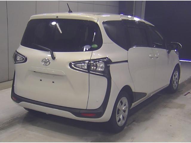 22896955_carP_l_10.jpg