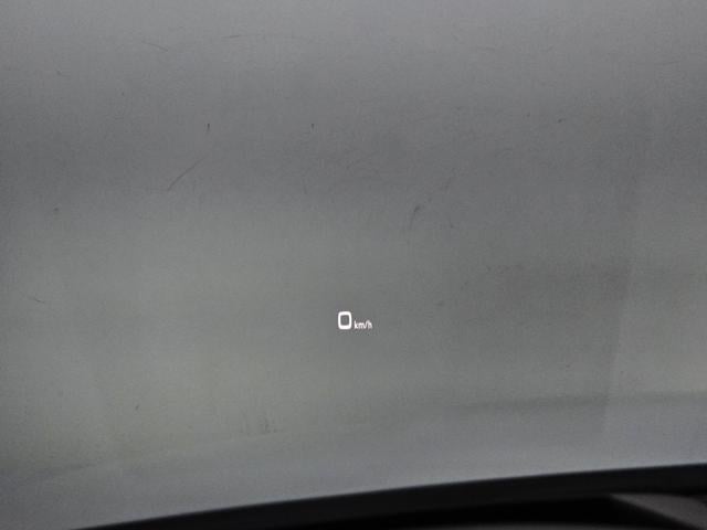 c4549fa14d33a6eb6229d298651e9f44.jpeg