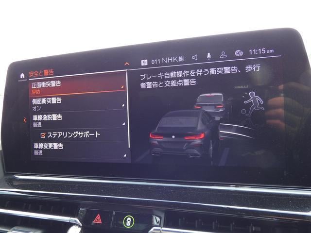 19040068_carP_l_11.jpg