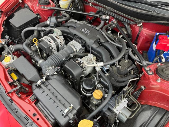 0541598A30260222W00203.jpg