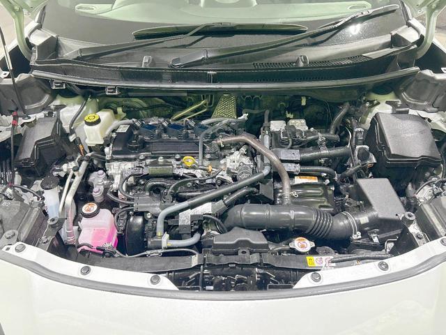 21747540_carP_l_20.jpg