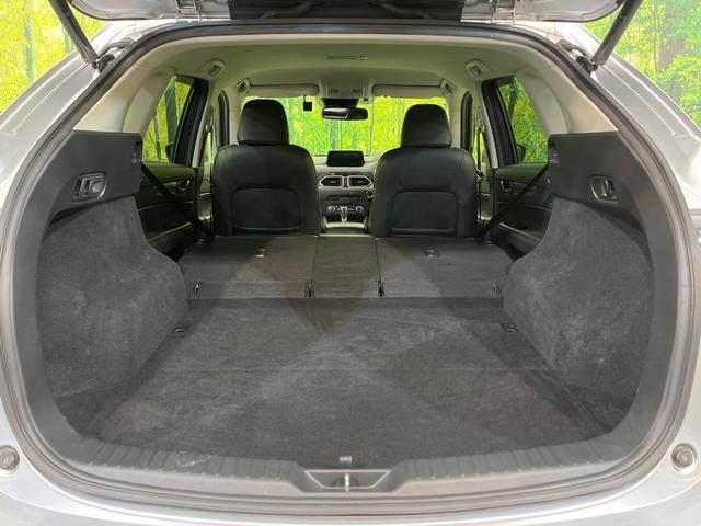 22936003_carP_l_5.jpg
