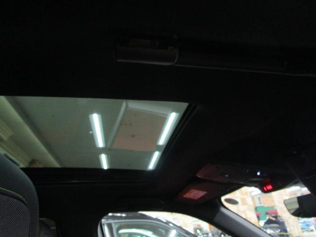 20007879_carP_l_14.jpg