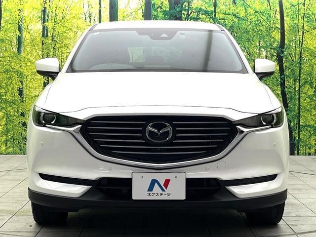 18214606_carP_l_9.jpg
