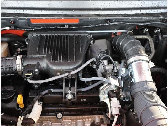 21254980_carP_l_12.jpg