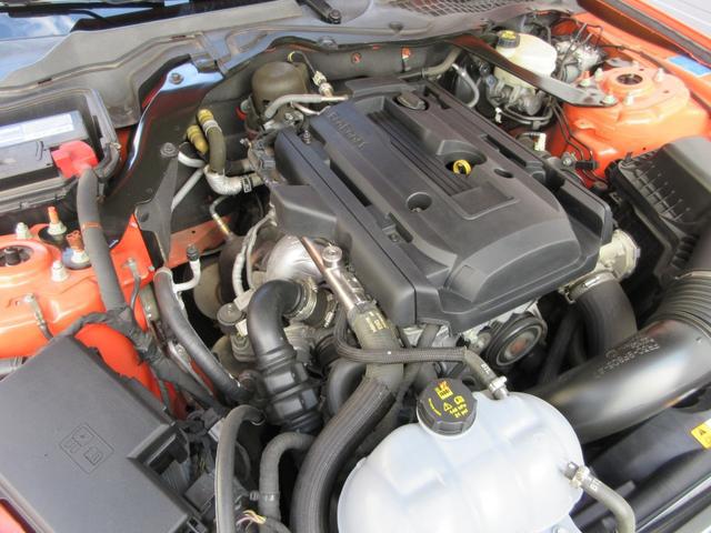 0206396A30260331W00113.jpg