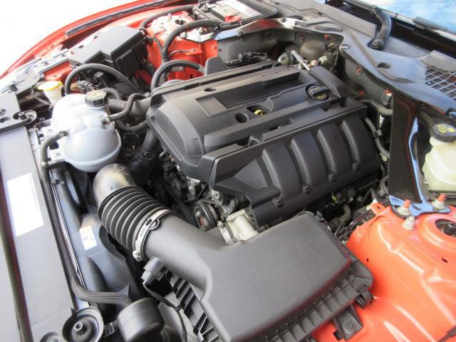 0206396A30260331W00114.jpg