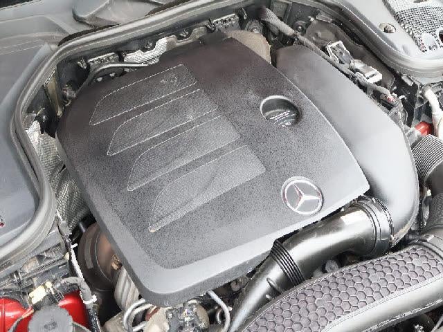 19696484_carP_l_13.jpg
