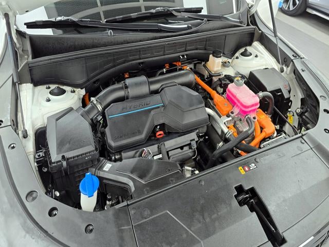 dd1098bb50877a0a17622d7ed798f267.jpeg