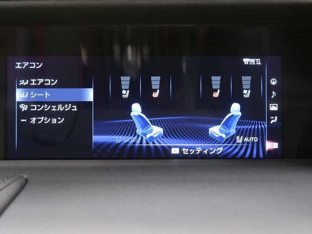 20607387_carP_l_14.jpg