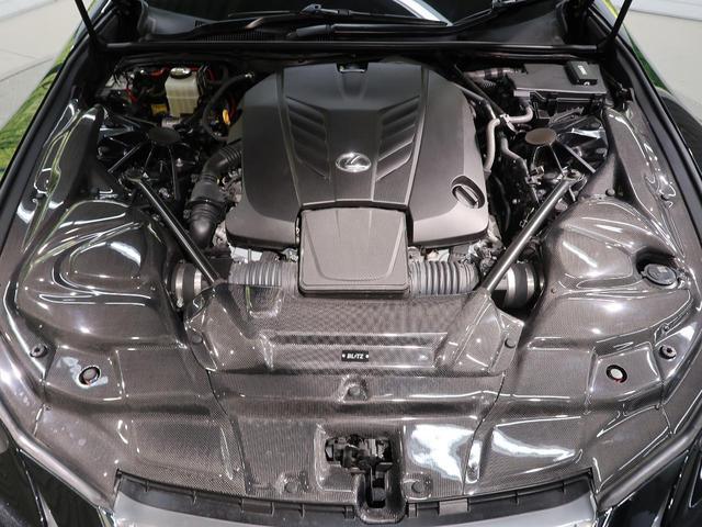 20607387_carP_l_18.jpg