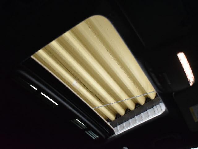 22438859_carP_l_10.jpg