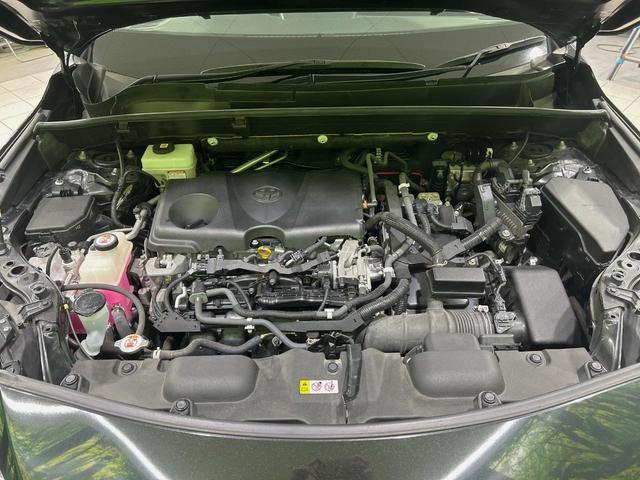 22004090_carP_l_16.jpg