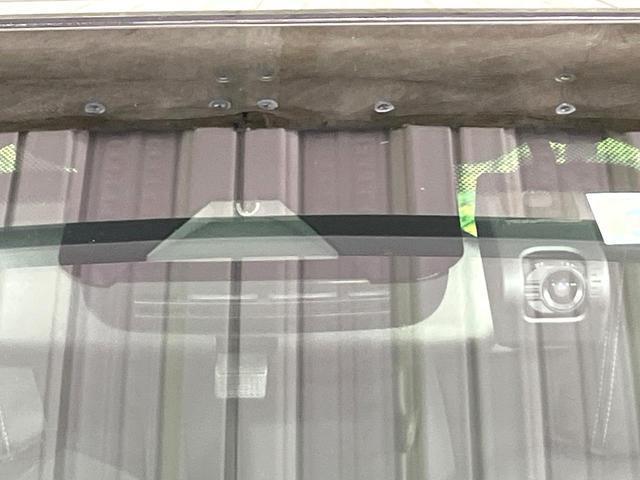 22114017_carP_l_10.jpg