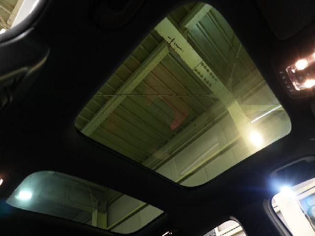 20557139_carP_l_10.jpg