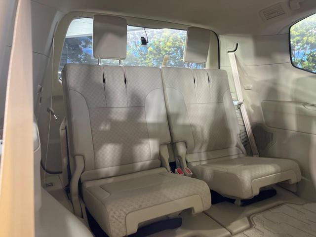 21836730_carP_l_7.jpg