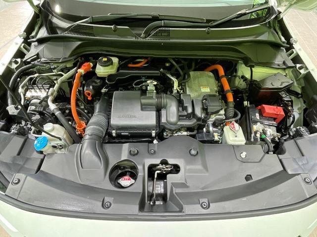 22601013_carP_l_18.jpg
