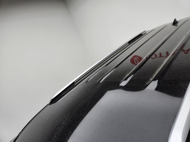 lotterental_160654918_9NiLG_3.jpg