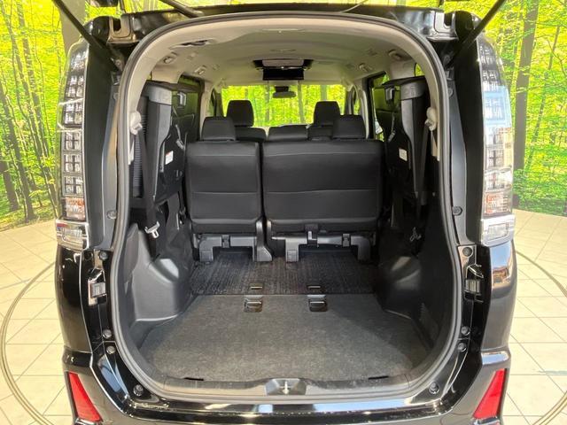 22526152_carP_l_5.jpg