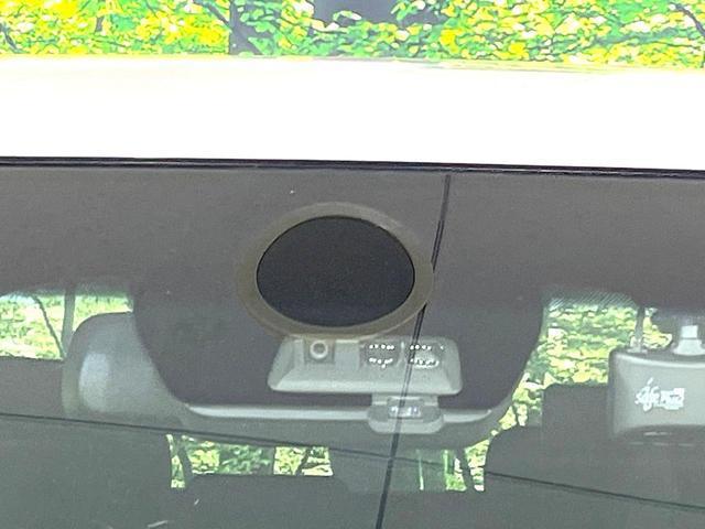 22818910_carP_l_13.jpg