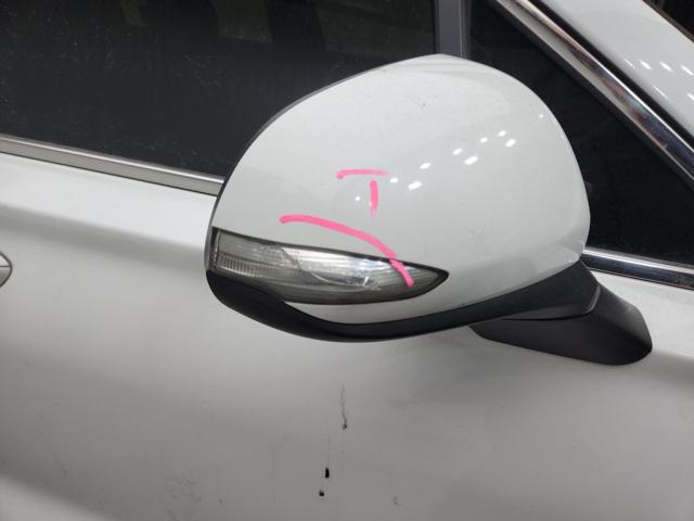 lotterental_153149217_SP7km_1.jpg
